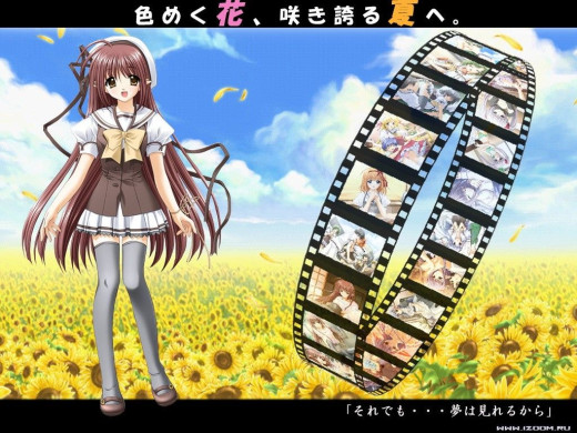 181312 (a): :1024x768